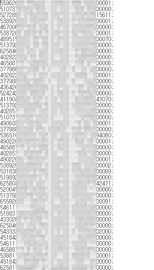 클롭이 다크웹에 유포해 버린 10만개 한국인 카드정보를 다운로드하면 실제 보이는 화면. 일부 모자이크. 현재 누구나 접속하면 다운로드 가능한 상황이다.